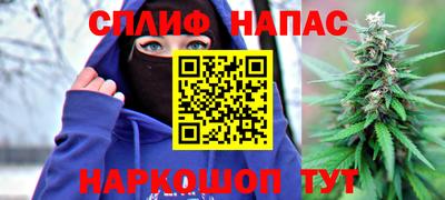 прущие грибы Будённовск